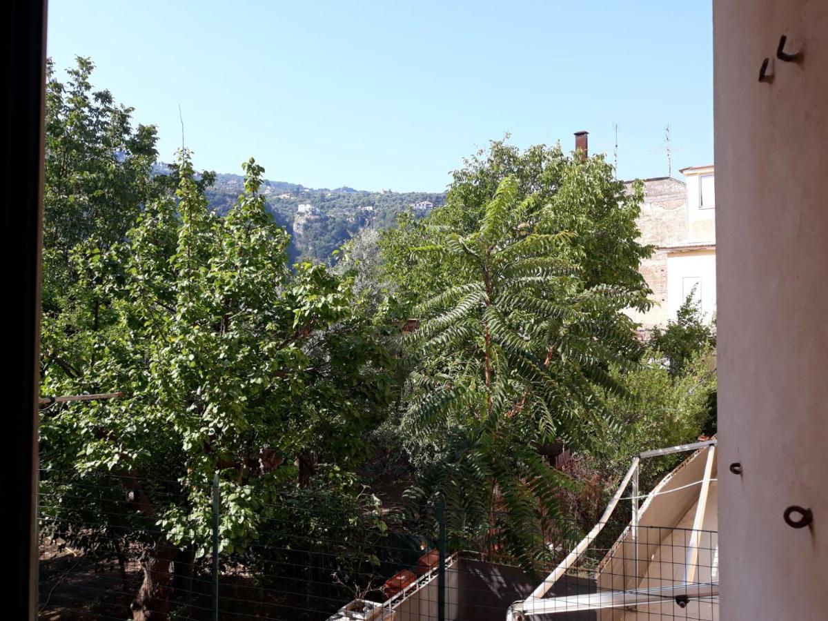 Rita Flat Διαμέρισμα Σορέντο Εξωτερικό φωτογραφία