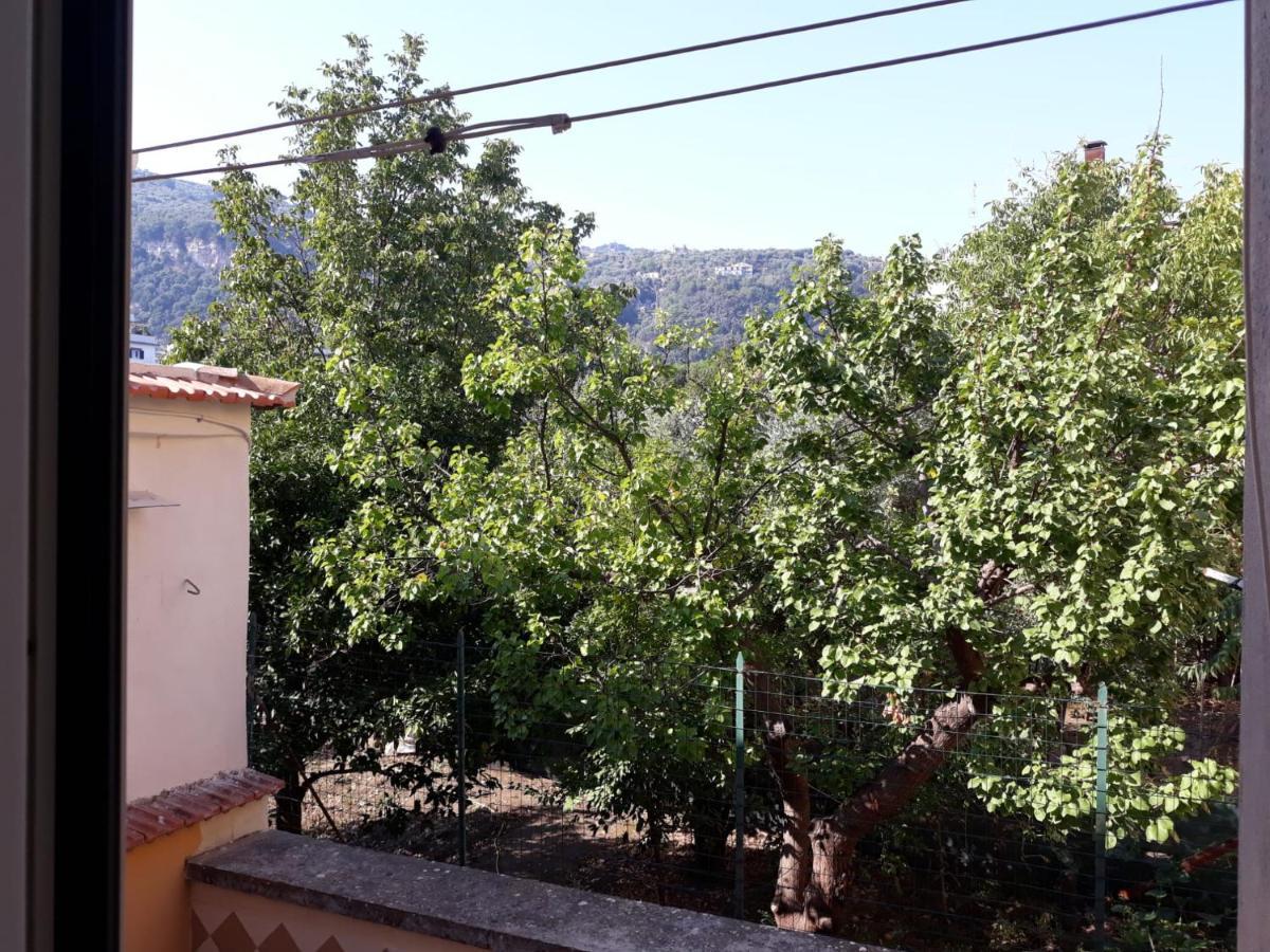 Rita Flat Διαμέρισμα Σορέντο Εξωτερικό φωτογραφία